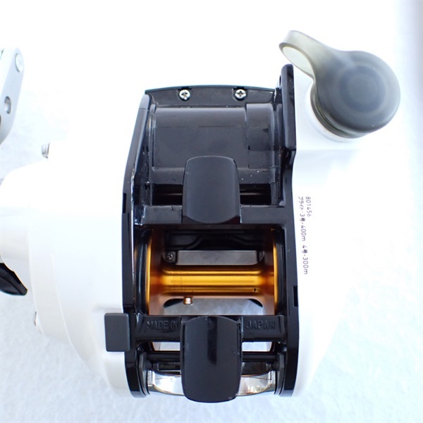 １２レオブリッツ３００Ｊ